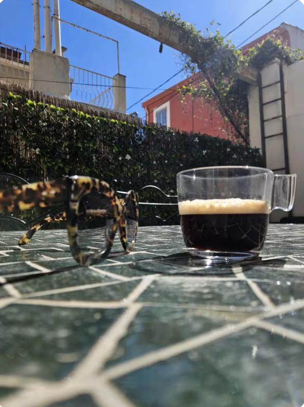 NOUVEAUTÉ – MARSEILLE 7ÈME – T2 MEUBLE AVEC TERRASSE PRIVATIVE